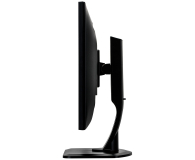 iiyama G-Master GB2488HSU Red Eagle - 285641 - zdjęcie 6